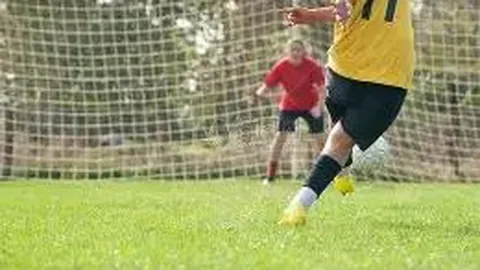 【奇彩幻境】双色球26015期双色图鉴：精准预测红球杀手组合——04、11、12，揭秘中奖密码！