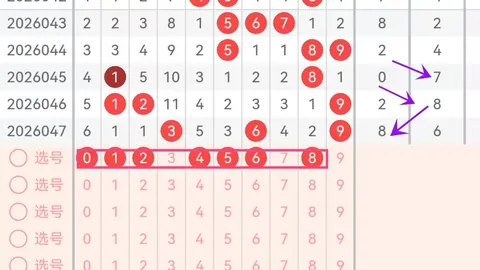 大乐透26050期专家质合推荐号码组合