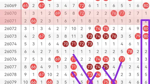 大乐透2026025期专家质合分析推荐热门号码